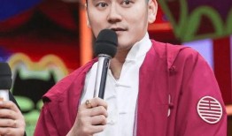 爆料钱枫视频,揭秘明星私生活背后的真相