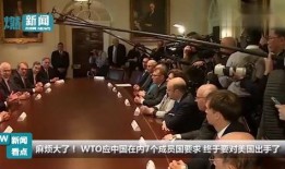 wto姐妹会在线观看