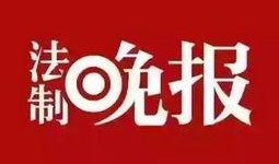 成都时事新闻爆料网站官网,最新爆料网站官网聚焦城市动态