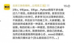 美团程序员最新爆料,揭秘内部技术革新与挑战