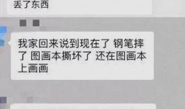 盐城爆料家长哭诉视频,教育压力下的无奈与心声