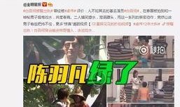 郑晨龙最新爆料视频大全,揭秘背后惊人真相