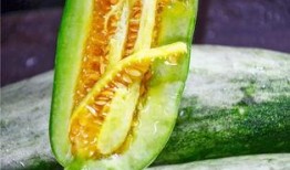 网红吃瓜都有哪些,揭秘娱乐圈幕后故事