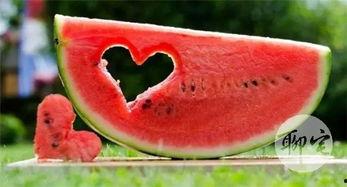 娱乐吃瓜风格是什么样的