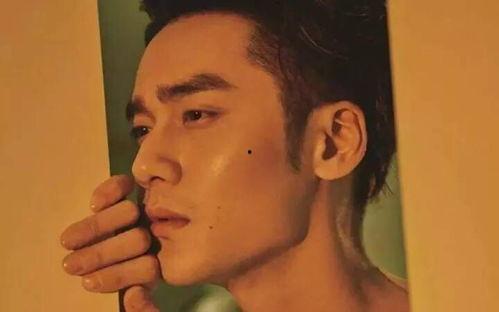 娱乐最新吃瓜事件视频在线观看