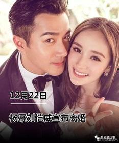 娱乐圈从吃瓜开始,从吃瓜到深度解读，揭秘明星幕后故事